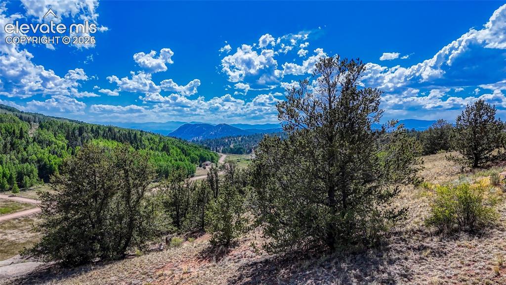 282 Fairview Drive Cripple Creek CO 80813