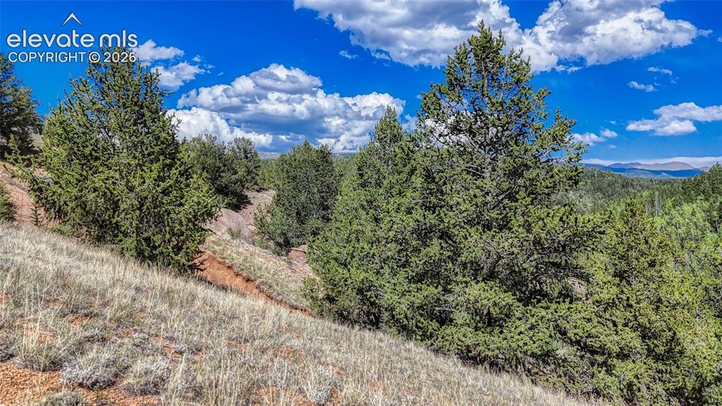 282 Fairview Drive Cripple Creek CO 80813