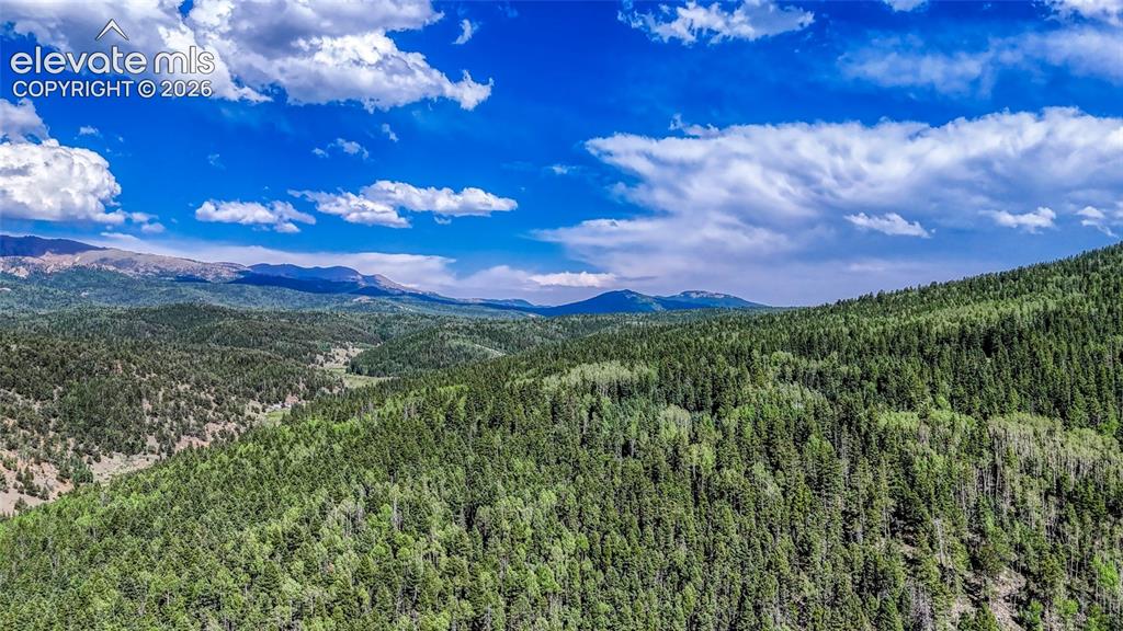 282 Fairview Drive Cripple Creek CO 80813
