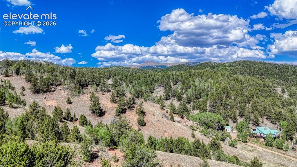 282 Fairview Drive Cripple Creek CO 80813