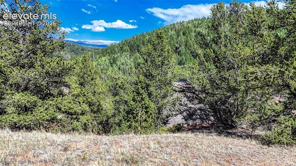 282 Fairview Drive Cripple Creek CO 80813