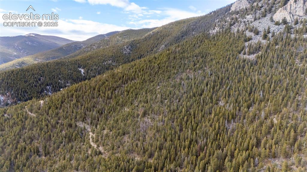 Alps Mountain Road Idaho Springs CO 80452