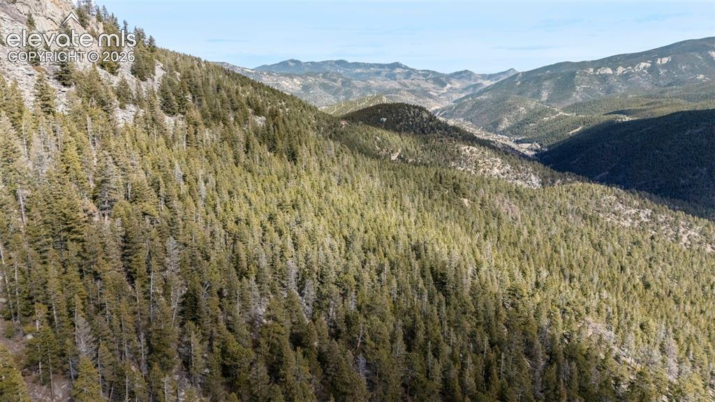 Alps Mountain Road Idaho Springs CO 80452