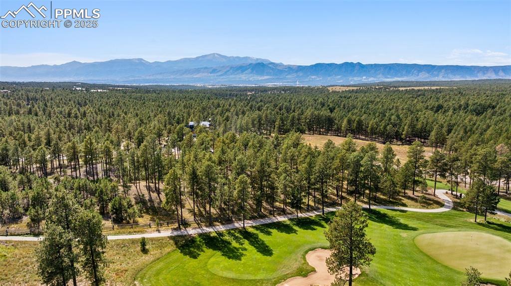 14981 Quartz Creek Drive Colorado Springs CO 80908