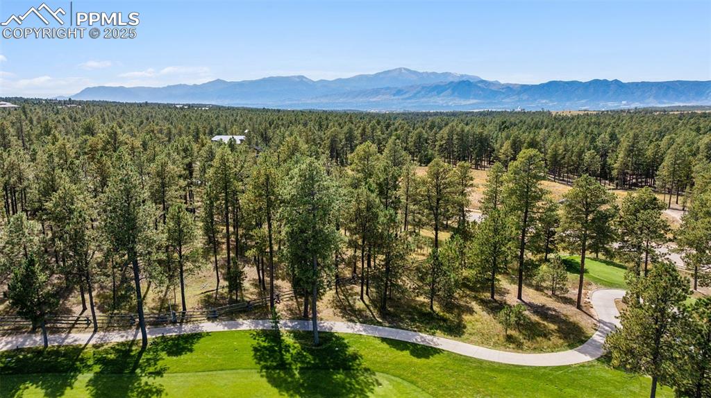 14981 Quartz Creek Drive Colorado Springs CO 80908