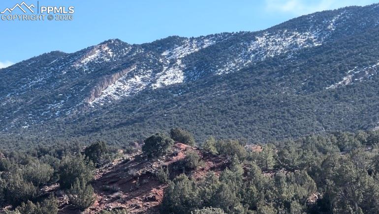 Lot 10 Rice Mountain Way Canon City CO 81212