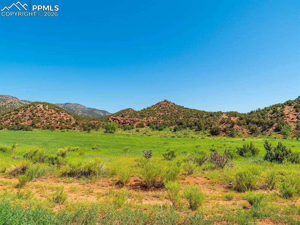 Lot 10 Rice Mountain Way Canon City CO 81212