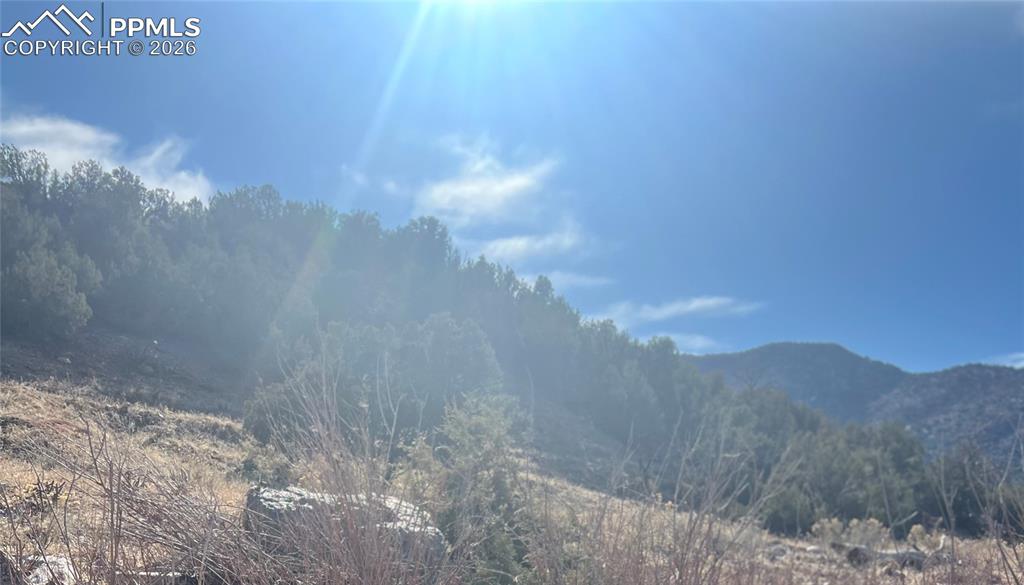 Lot 10 Rice Mountain Way Canon City CO 81212