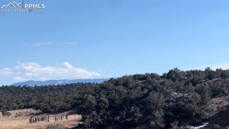 Lot 10 Rice Mountain Way Canon City CO 81212