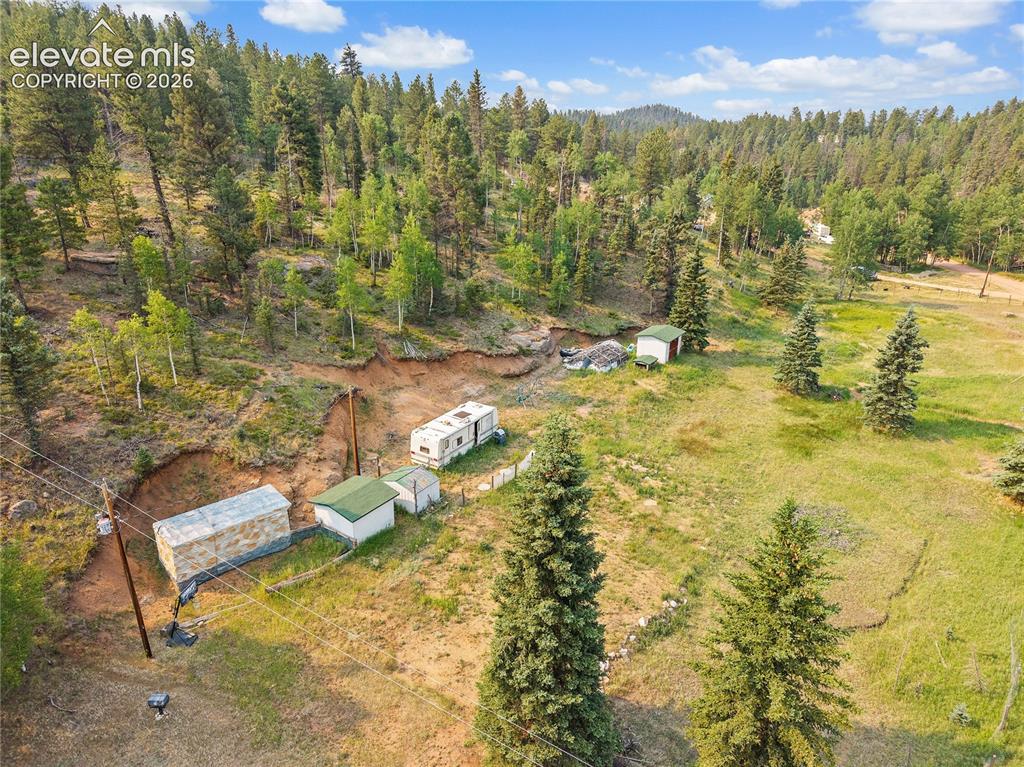 974 W Bison Creek Trail Divide CO 80814