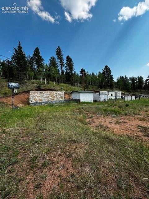 974 W Bison Creek Trail Divide CO 80814