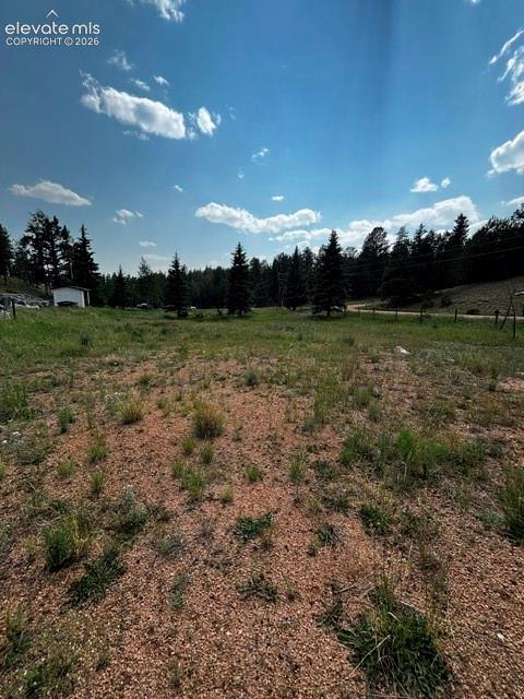974 W Bison Creek Trail Divide CO 80814