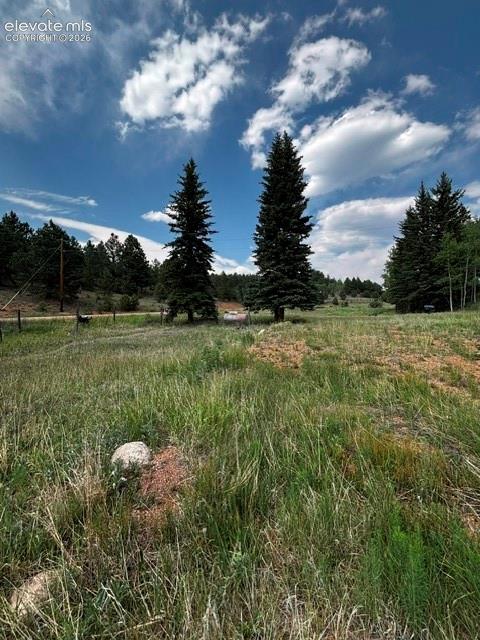 974 W Bison Creek Trail Divide CO 80814