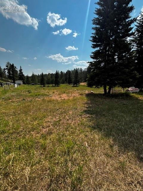 974 W Bison Creek Trail Divide CO 80814