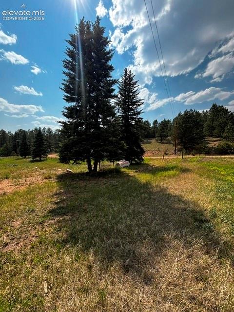 974 W Bison Creek Trail Divide CO 80814
