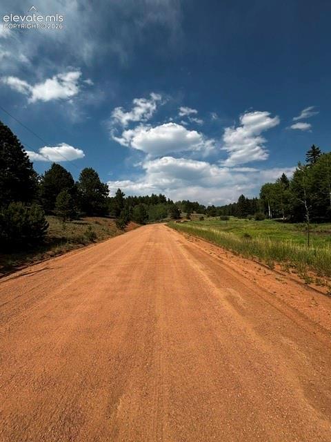 974 W Bison Creek Trail Divide CO 80814