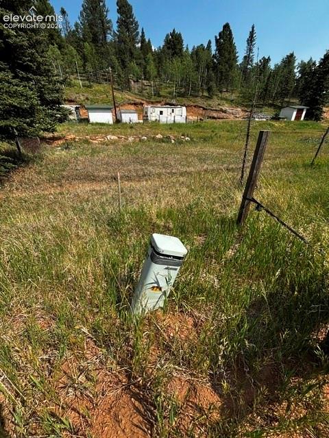 974 W Bison Creek Trail Divide CO 80814