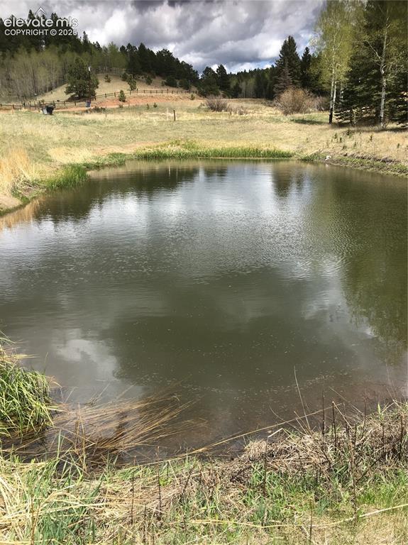 974 W Bison Creek Trail Divide CO 80814
