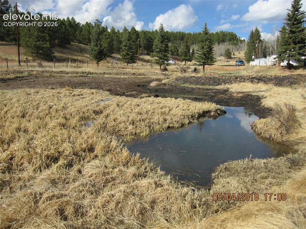 974 W Bison Creek Trail Divide CO 80814