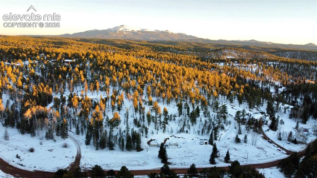 974 W Bison Creek Trail Divide CO 80814
