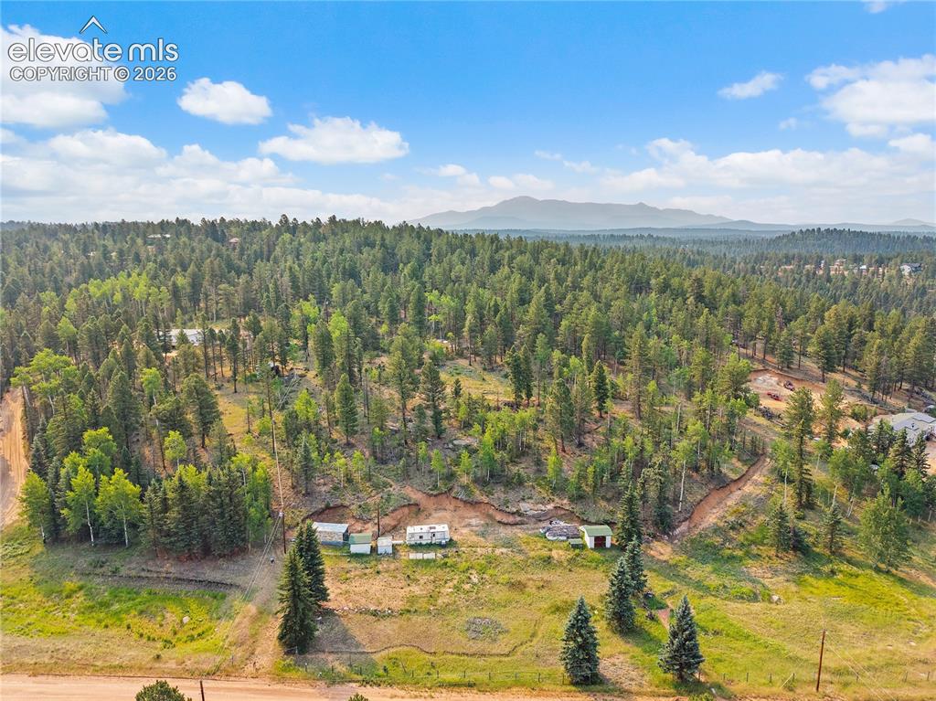 974 W Bison Creek Trail Divide CO 80814