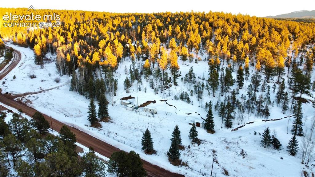 974 W Bison Creek Trail Divide CO 80814