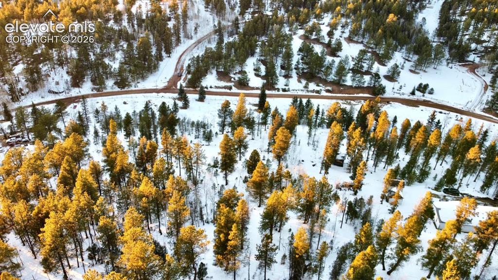 974 W Bison Creek Trail Divide CO 80814