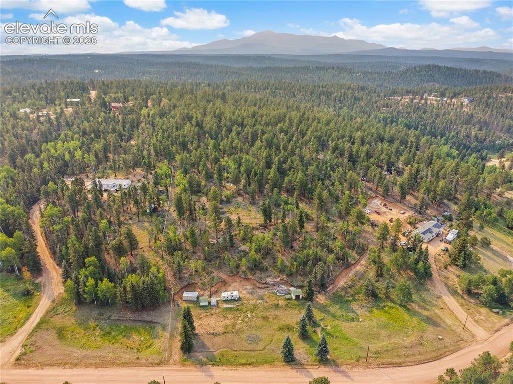 974 W Bison Creek Trail Divide CO 80814