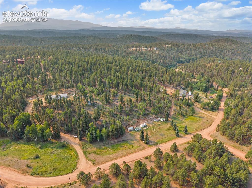 974 W Bison Creek Trail Divide CO 80814