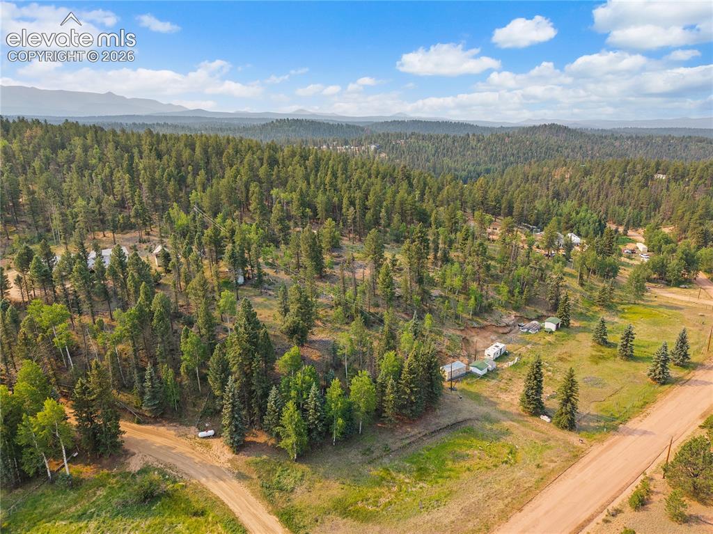 974 W Bison Creek Trail Divide CO 80814