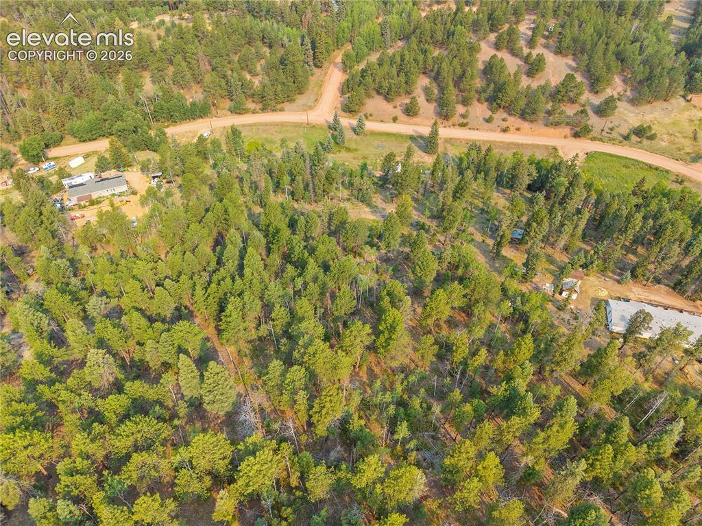 974 W Bison Creek Trail Divide CO 80814