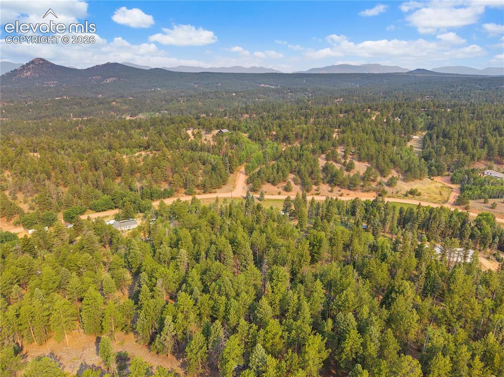 974 W Bison Creek Trail Divide CO 80814