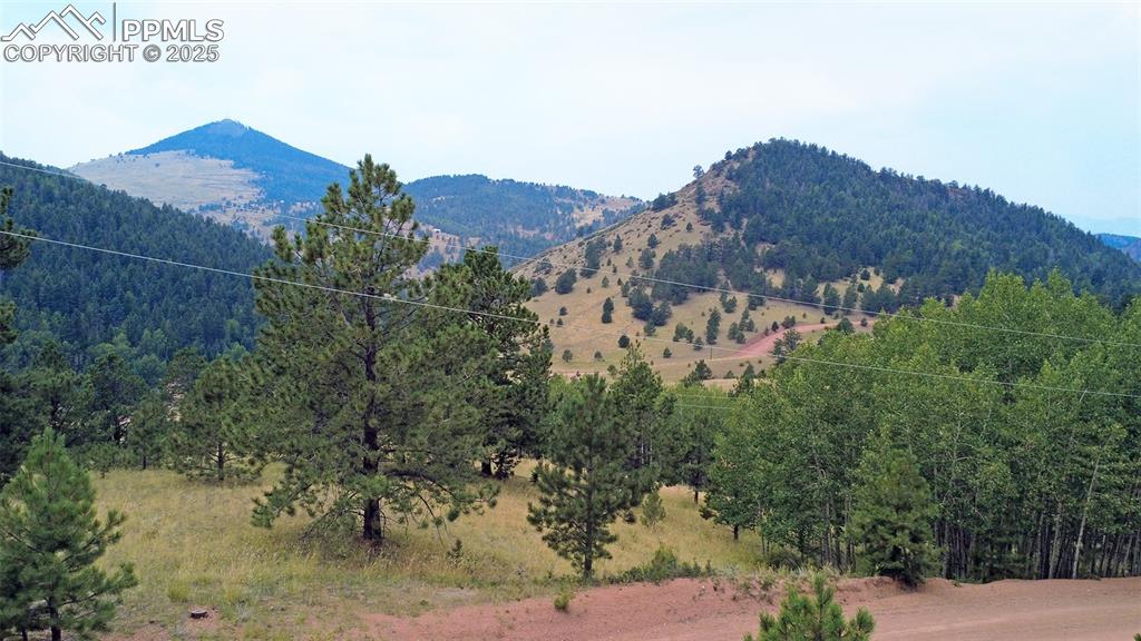 726 Copper Mountain Drive Cripple Creek CO 80813