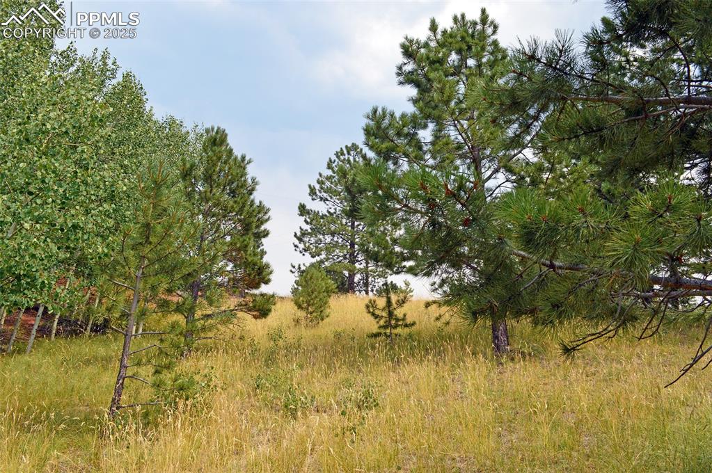 726 Copper Mountain Drive Cripple Creek CO 80813