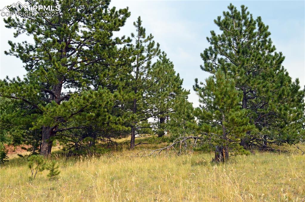 726 Copper Mountain Drive Cripple Creek CO 80813