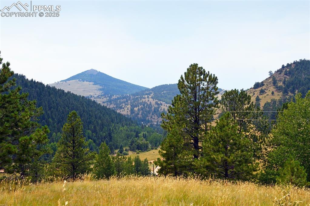 726 Copper Mountain Drive Cripple Creek CO 80813