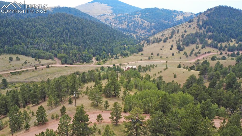 726 Copper Mountain Drive Cripple Creek CO 80813