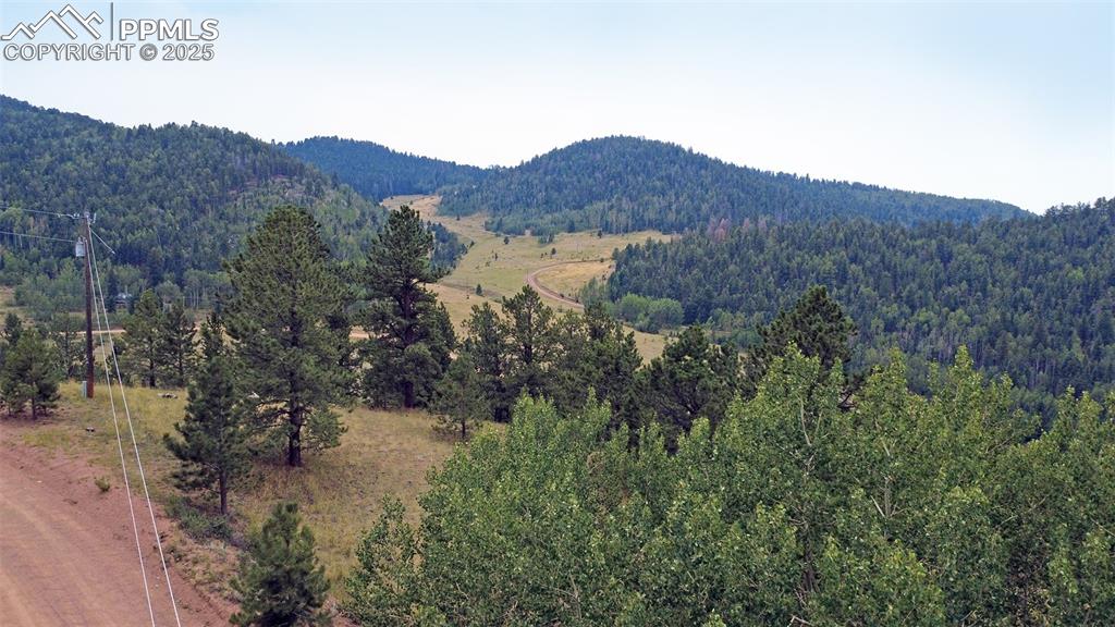 726 Copper Mountain Drive Cripple Creek CO 80813