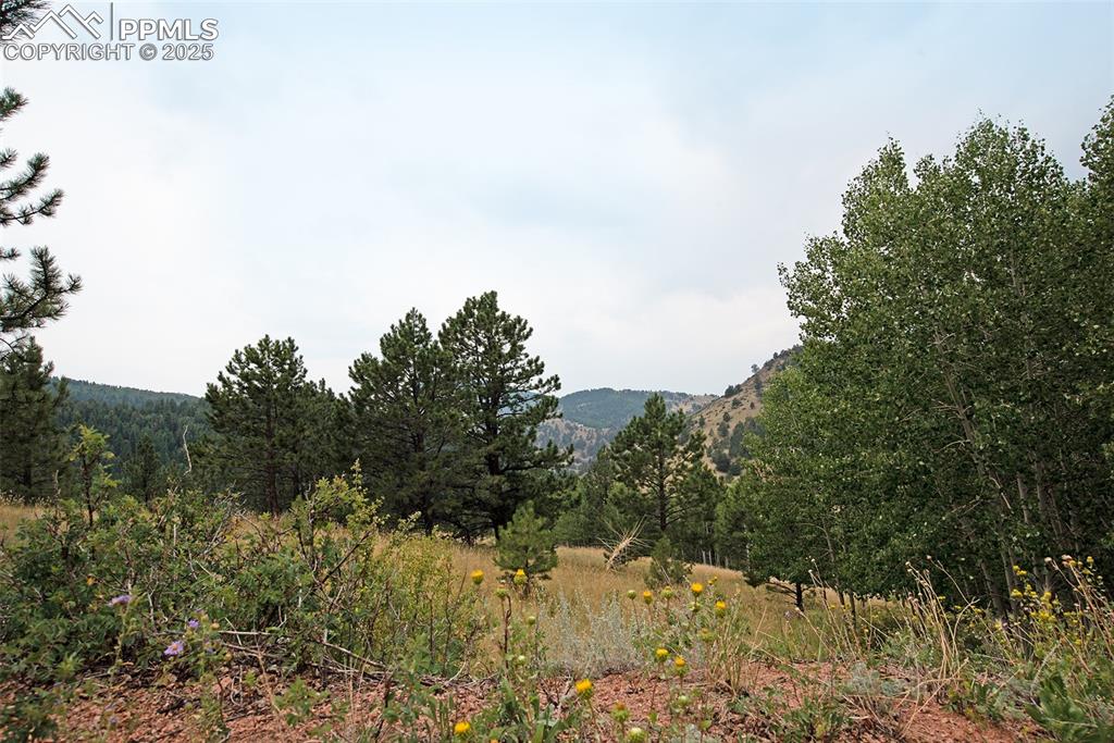 726 Copper Mountain Drive Cripple Creek CO 80813