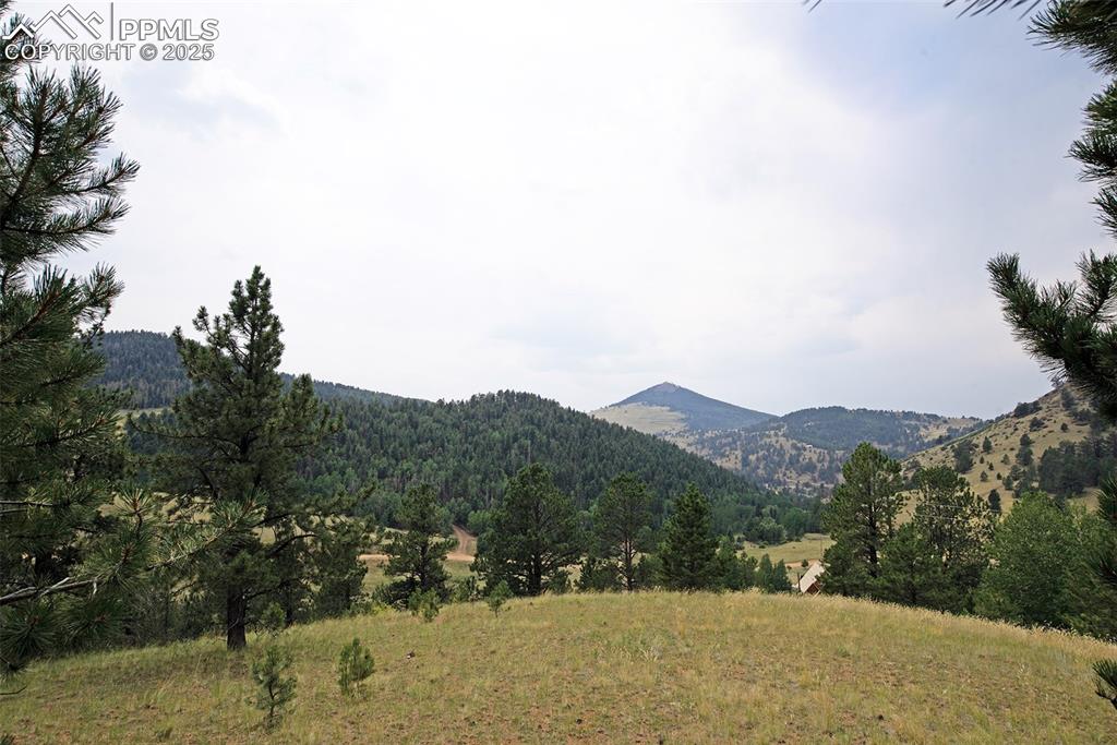 726 Copper Mountain Drive Cripple Creek CO 80813