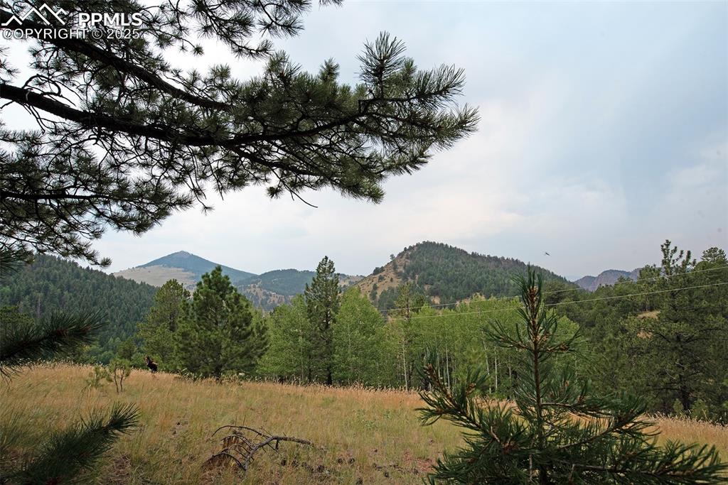 726 Copper Mountain Drive Cripple Creek CO 80813
