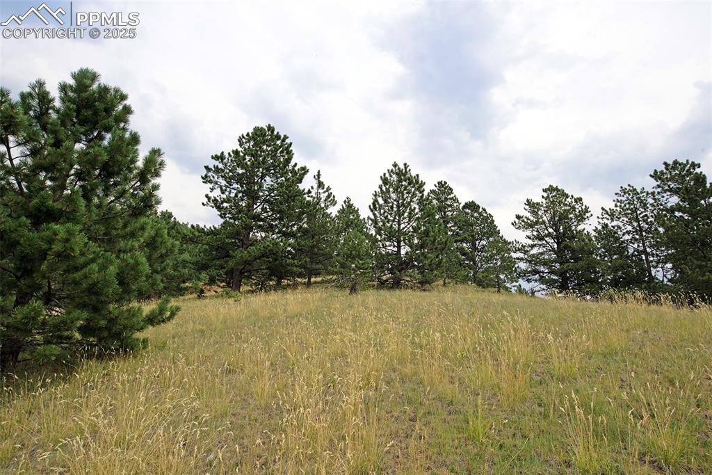 726 Copper Mountain Drive Cripple Creek CO 80813