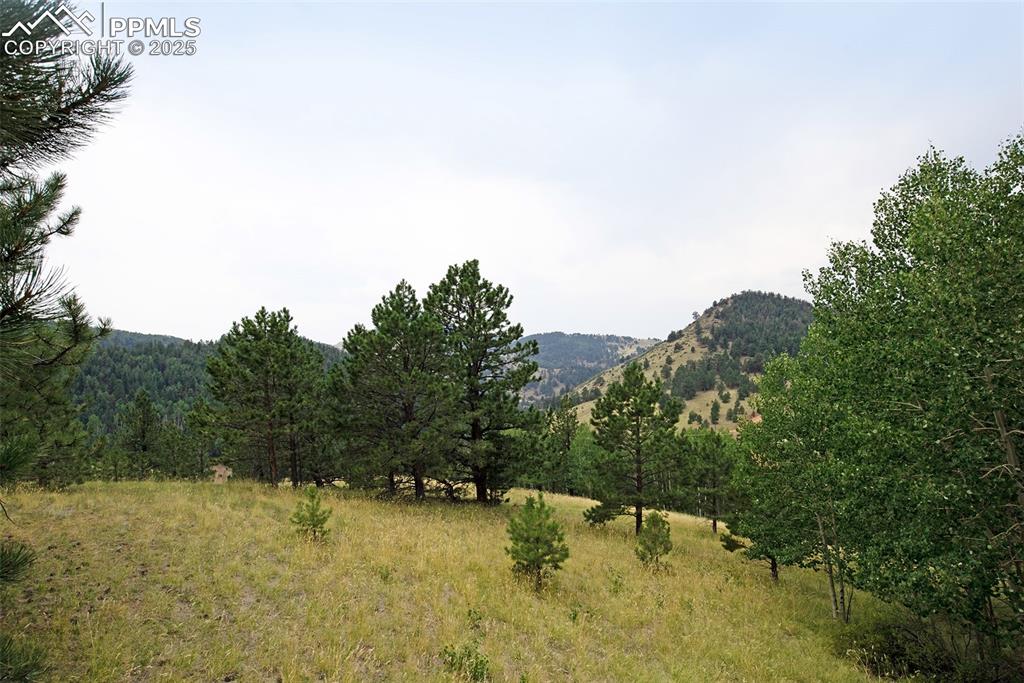 726 Copper Mountain Drive Cripple Creek CO 80813