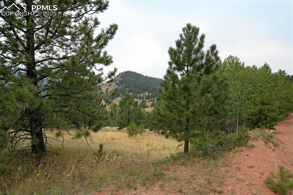 726 Copper Mountain Drive Cripple Creek CO 80813