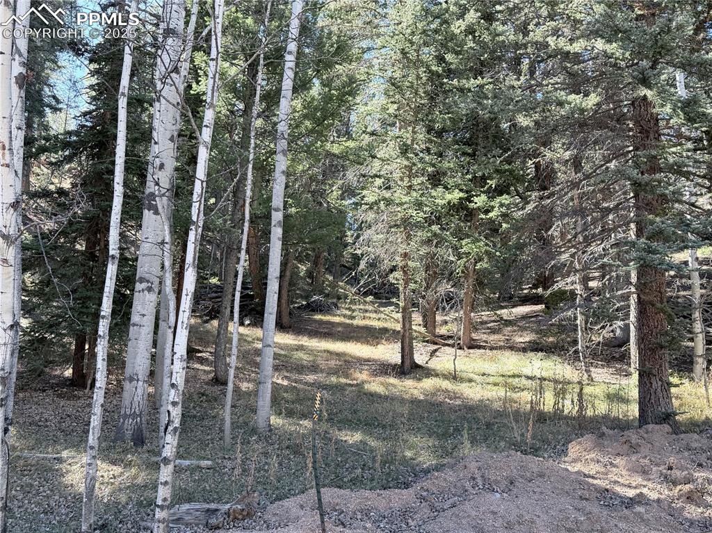 453 Homestead Drive Woodland Park CO 80863