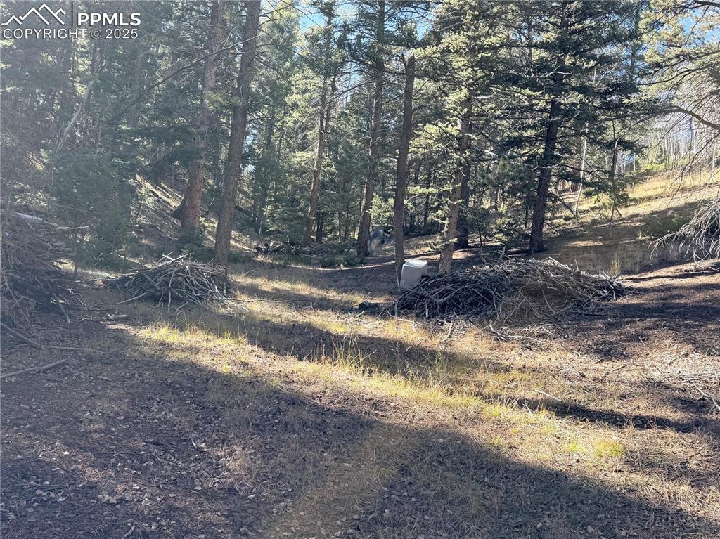 453 Homestead Drive Woodland Park CO 80863