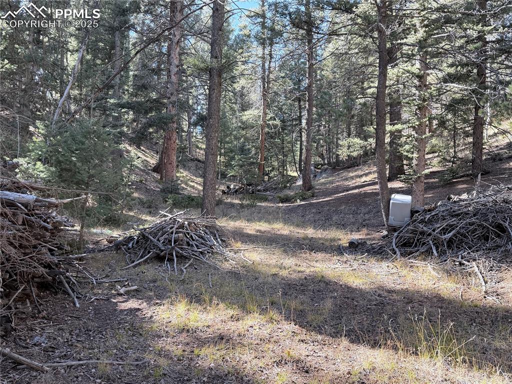 453 Homestead Drive Woodland Park CO 80863