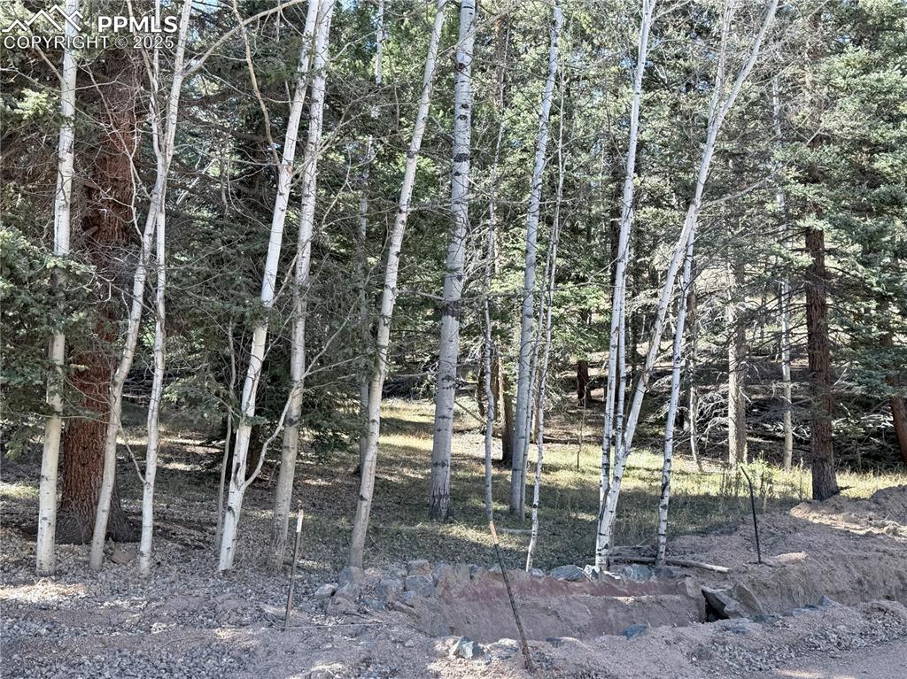 453 Homestead Drive Woodland Park CO 80863