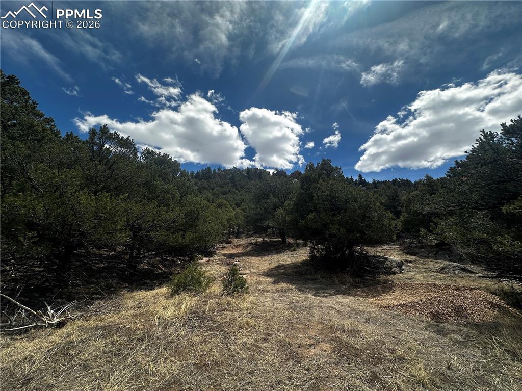 938 Shoshone Drive Canon City CO 81212