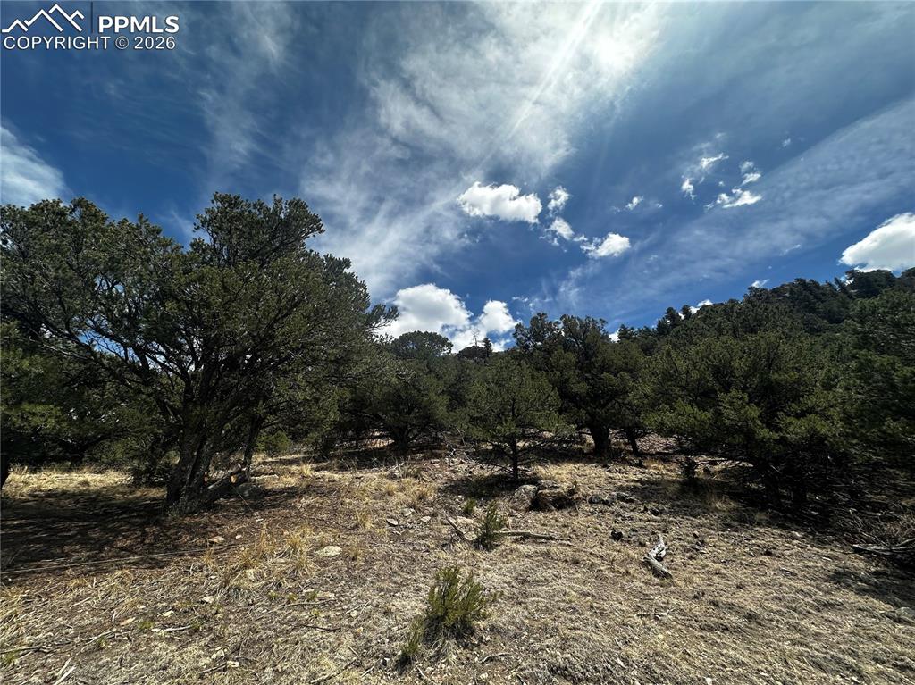 938 Shoshone Drive Canon City CO 81212